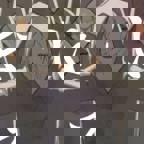 Pelouch